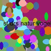 sf drs natur vogel